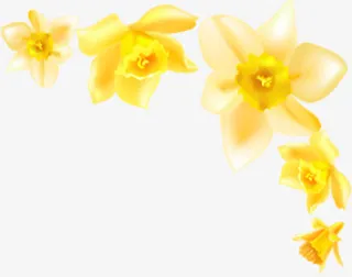 精美手绘黄色花纹边框装饰免抠