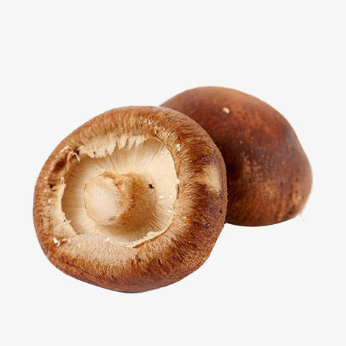 两个香菇免抠