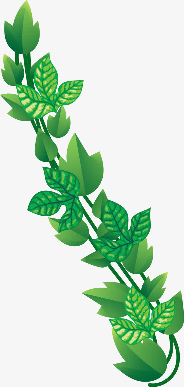 卡通手绘绿藤植物免抠