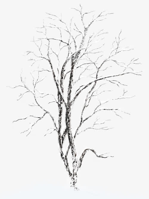 枯树免抠