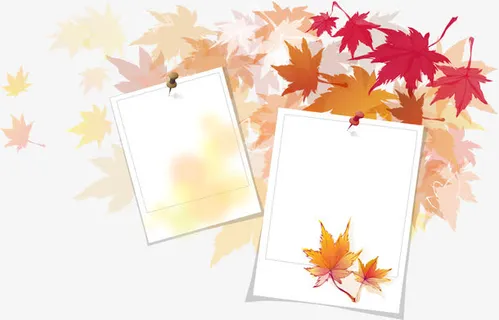 枫叶相框免抠