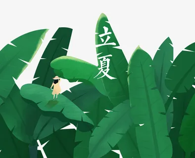 手绘小清新装饰插图立夏芭蕉叶上免抠