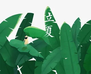 手绘小清新装饰插图立夏芭蕉叶上免抠