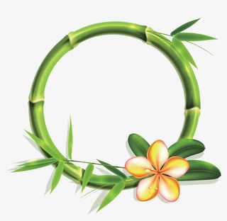 高清竹子圆形边框1免抠