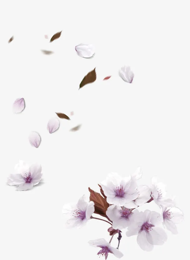 紫色清新花瓣漂浮素材免抠