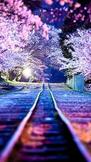 春天五彩花朵H5背景素材高清