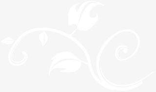 白色卡通藤蔓背景七夕情人节