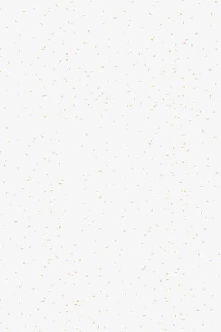 碎片飞舞效果，金色，背景元素，漂浮免抠