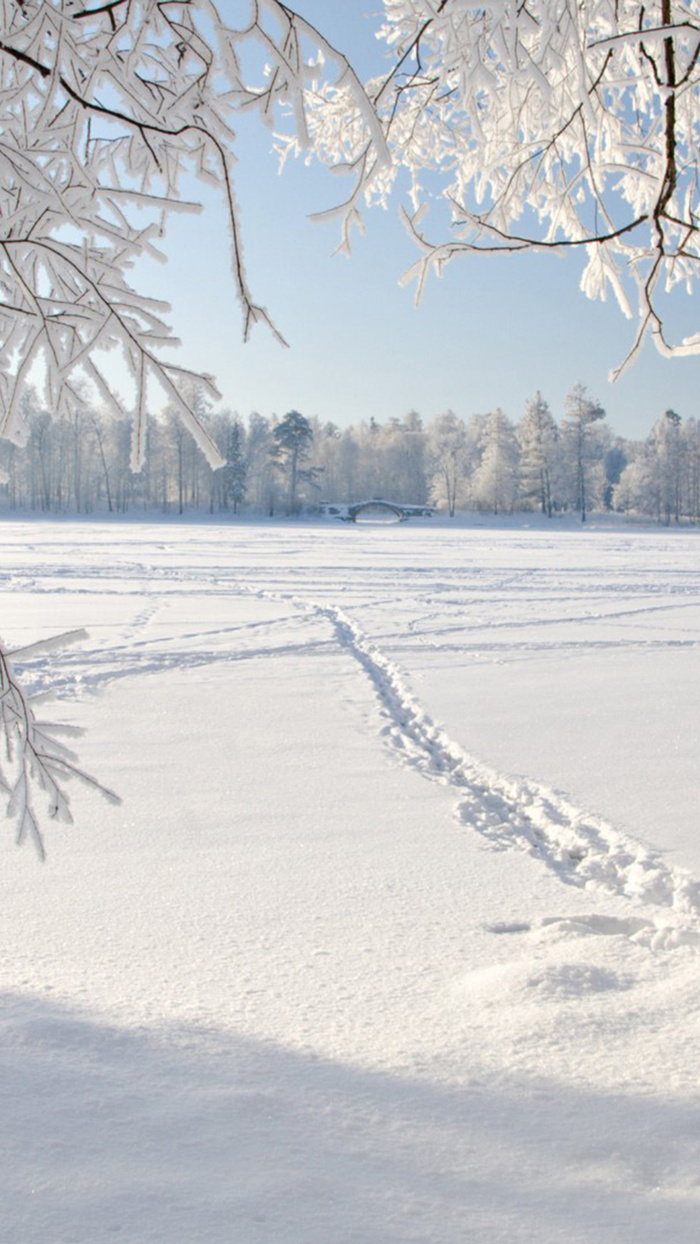 白色雪地简约H5背景素材高清