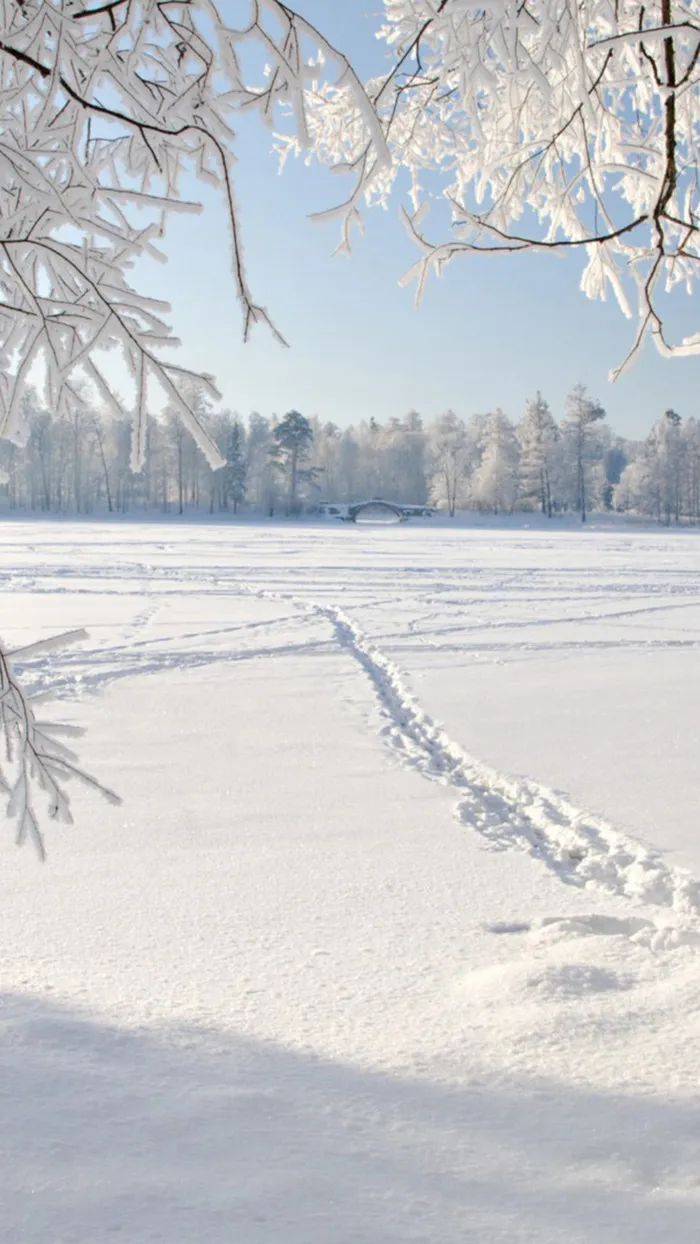 白色雪地简约H5背景素材高清