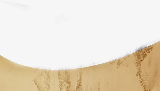 棕色花纹医院底纹免抠