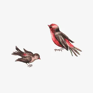 手绘两只燕子免抠