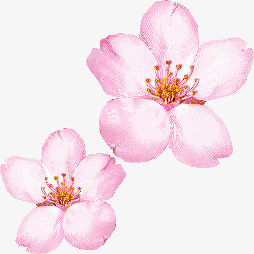 花免抠