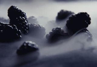 高清桑甚摄影免抠