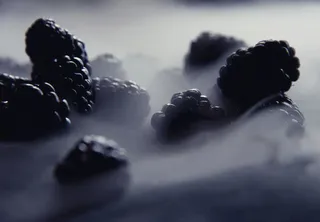 高清桑甚摄影免抠