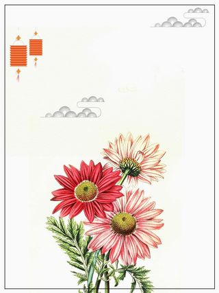 菊花清新重阳节节日高清