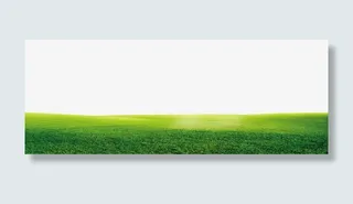 绿色清新草地边框纹理免抠