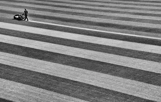 斑马线上行走的路人免抠