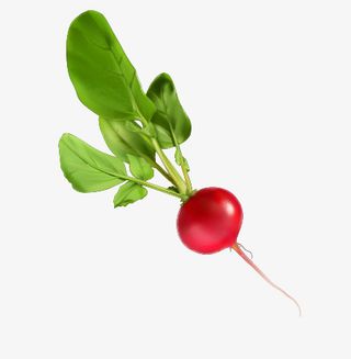 卡通蔬菜装饰2免抠