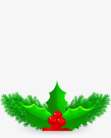 圣诞元旦树叶新年免抠