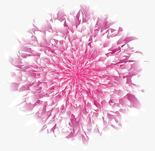 粉色花瓣植物免抠