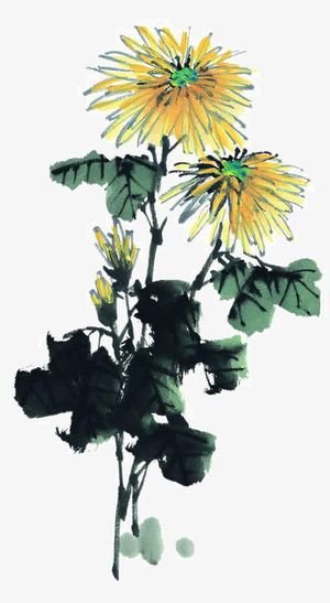 秋菊泼墨手绘免抠