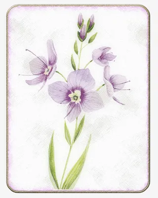 卡通鲜花素材植物花卉素材免抠