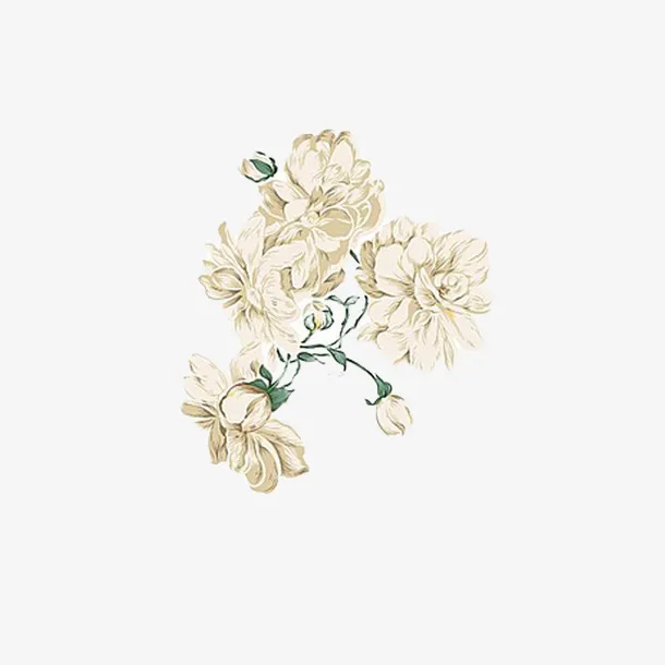 栀子花开免抠