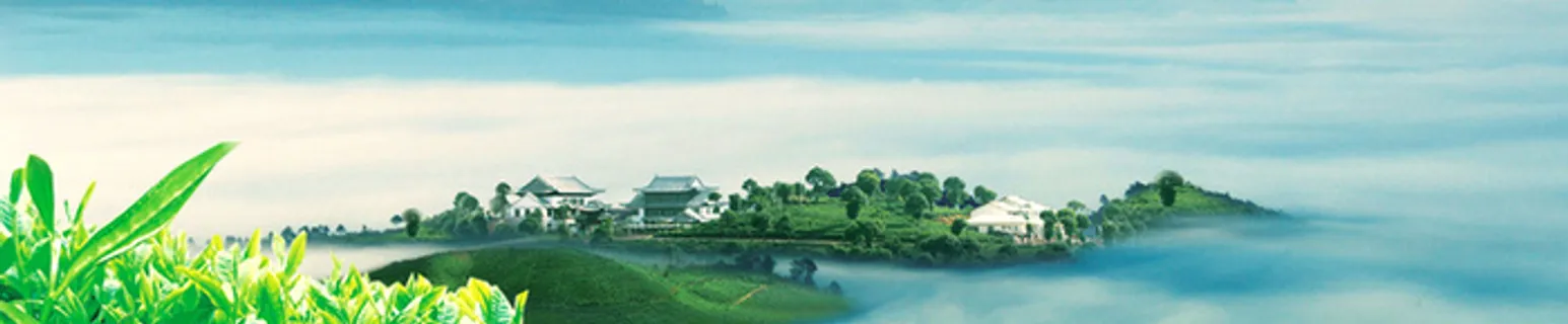 天空树叶古镇背景高清