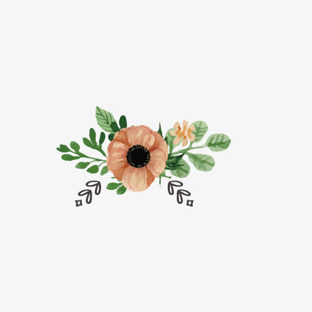 花艺花纹边框免抠