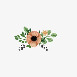 花艺花纹边框免抠