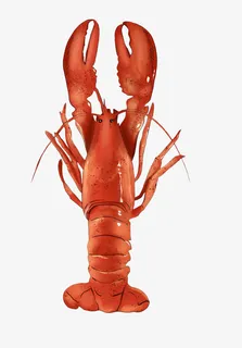 深海的大龙虾免抠