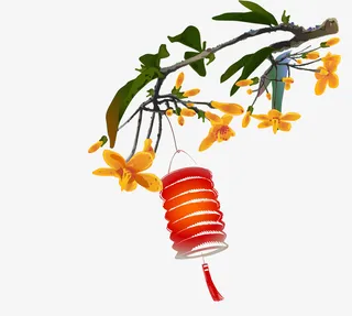 黄绿色桂花枝上的红色灯笼免抠