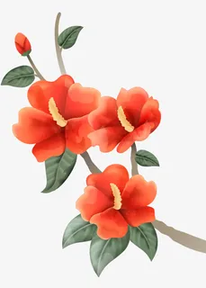 手绘春季春天鲜花免抠