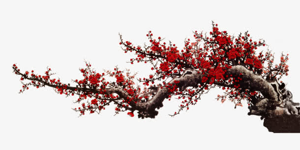 树枝免抠