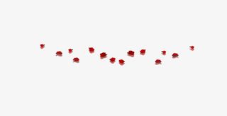 散落的玫瑰花瓣 一排免抠