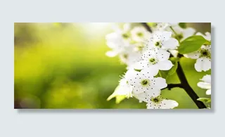 淘宝背景图高清