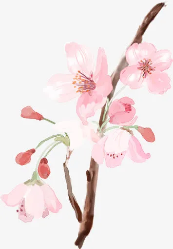 粉色淡雅水墨花朵桃花免抠