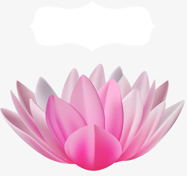 荷花免抠