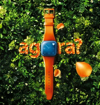 草地中的橙色手表海报背景