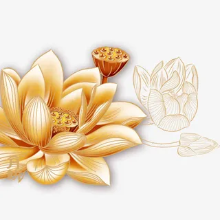 金色莲藕手绘免抠