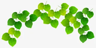 散景与绿叶背景矢量