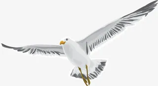 飞舞的白鸽图免抠