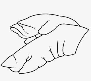 黑白线描手绘猪蹄透明png免抠