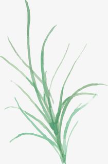 手绘小草PNG下载免抠