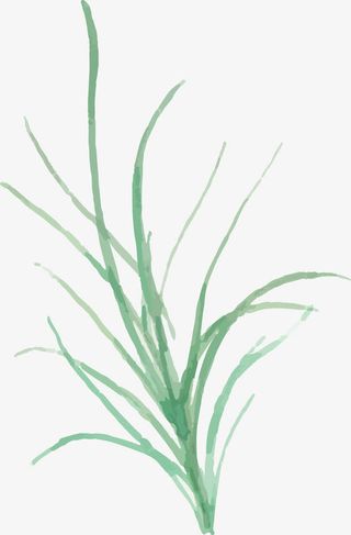手绘小草PNG下载免抠