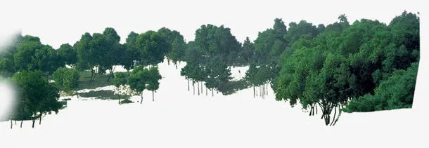 绿色植物树林远景免抠