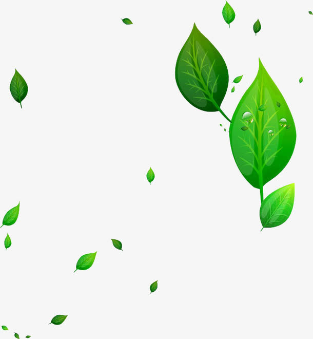 漂浮绿色叶子免抠