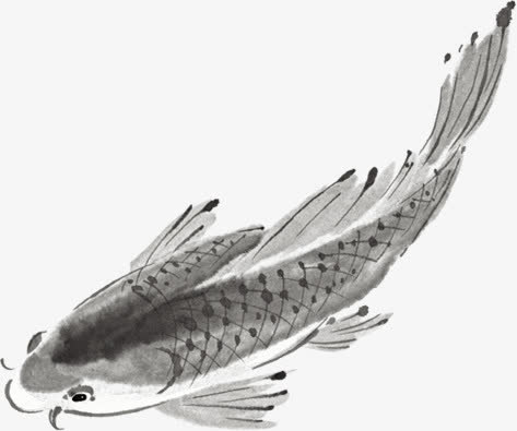 水墨鲤鱼图片素材免抠