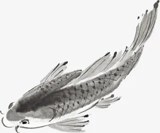 水墨鲤鱼图片素材免抠